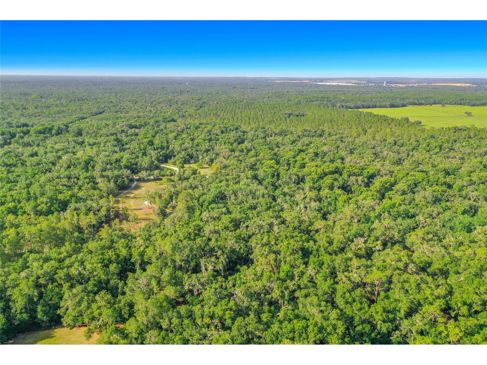 33099 Coral Rock Drive Webster FL 33597 TB8526123 image19