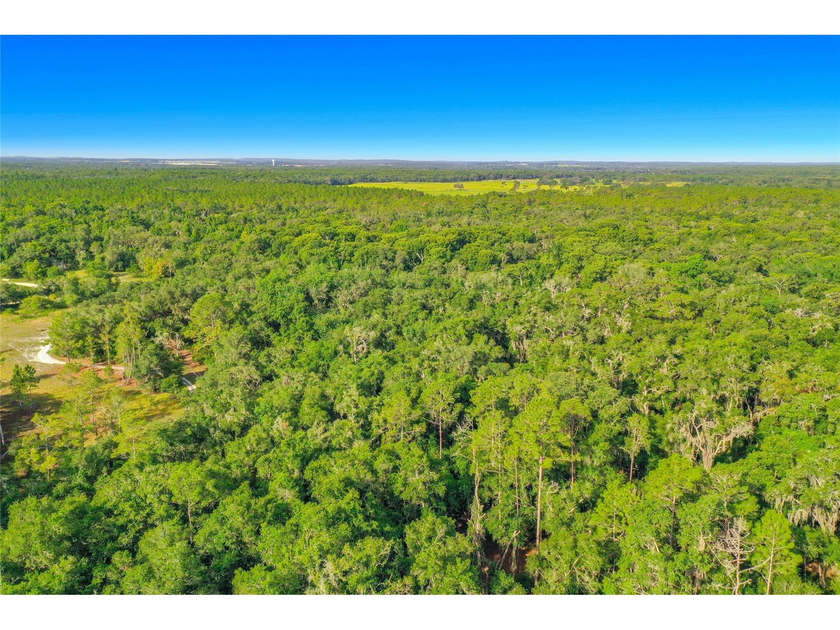 33099 Coral Rock Drive Webster FL 33597 TB8526123 image2
