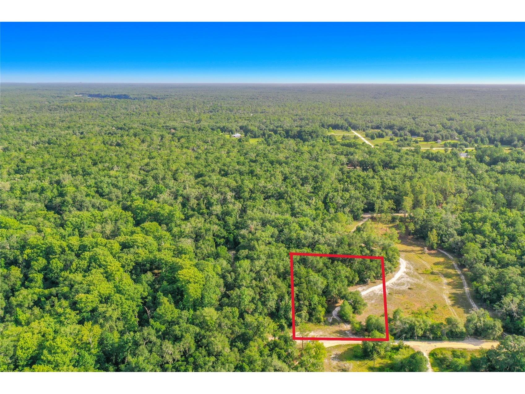 33099 Coral Rock Drive Webster FL 33597 TB8526123 image20