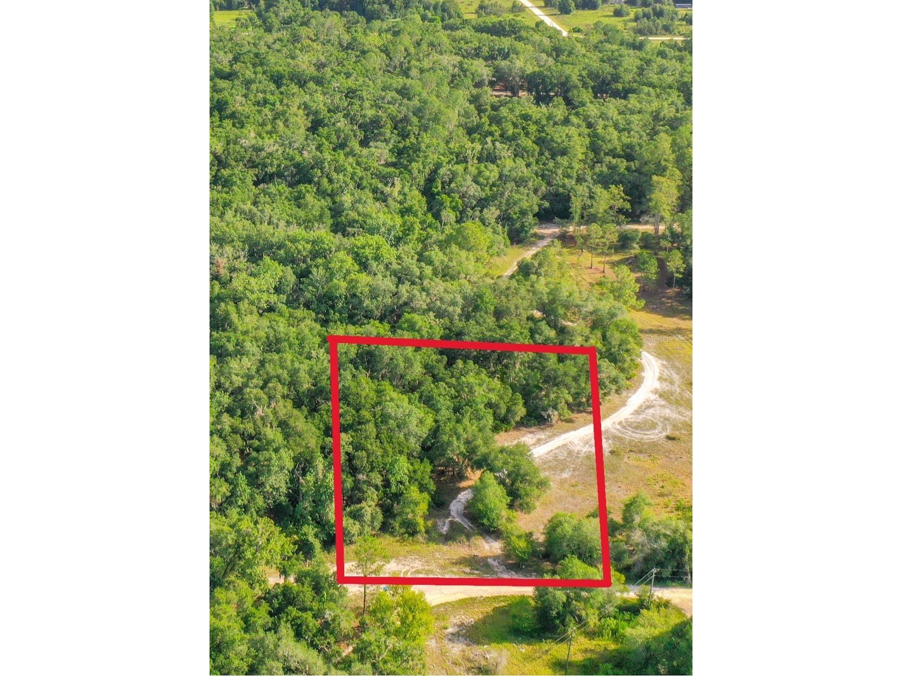 33099 Coral Rock Drive Webster FL 33597 TB8526123 image21