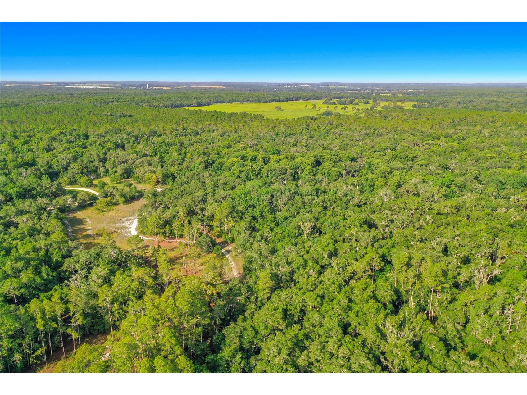33099 Coral Rock Drive Webster FL 33597 TB8526123 image3