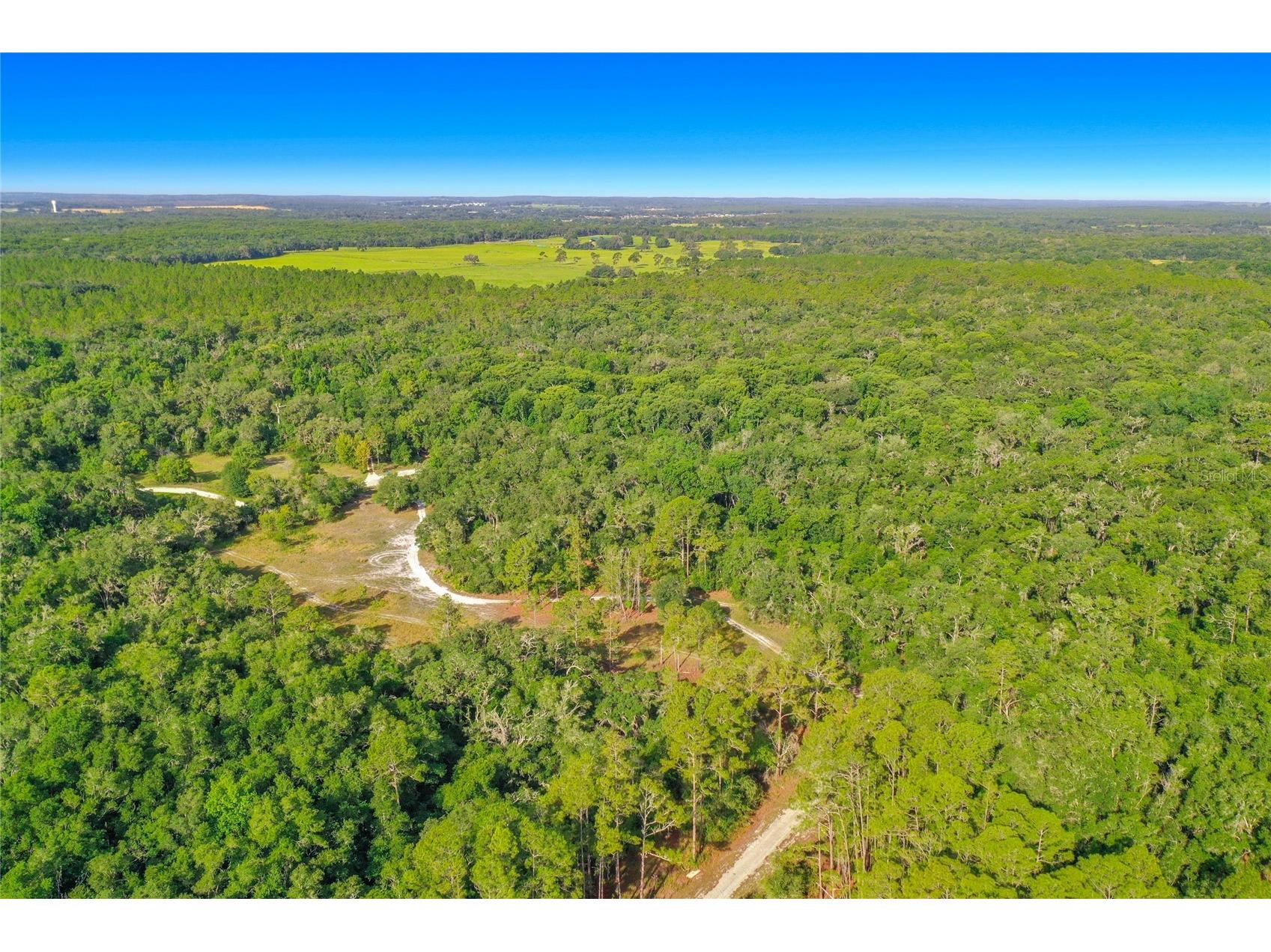 33099 Coral Rock Drive Webster FL 33597 TB8526123 image4
