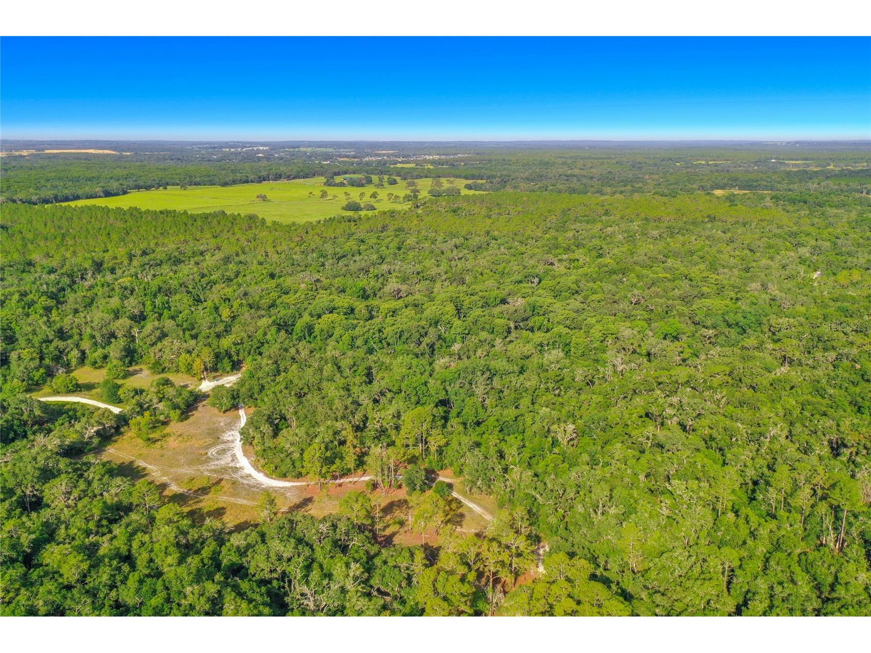 33099 Coral Rock Drive Webster FL 33597 TB8526123 image5