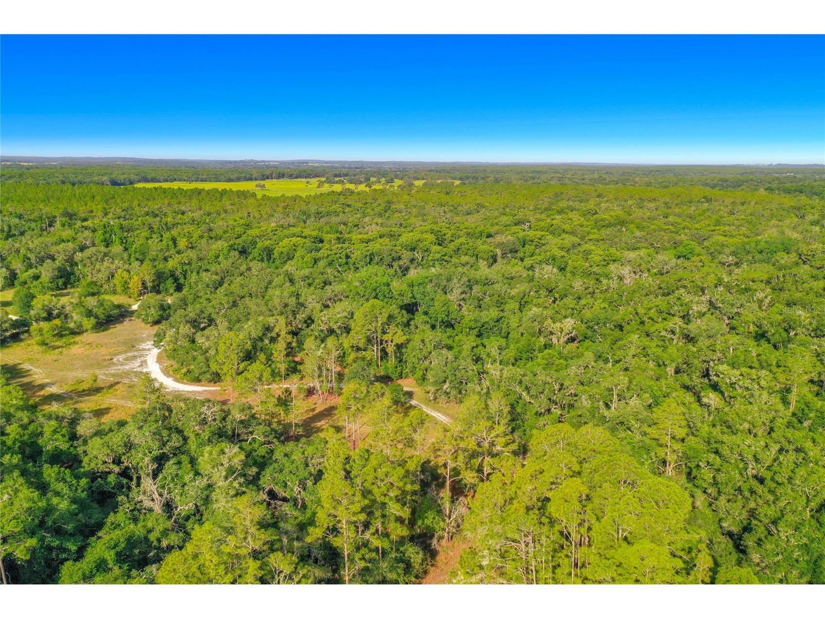 33099 Coral Rock Drive Webster FL 33597 TB8526123 image9