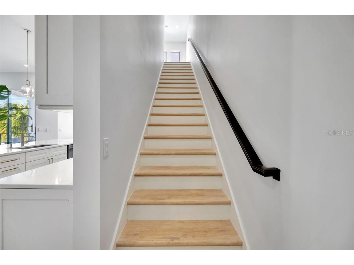 331 Albert Street Dunedin FL 34698 TB8340274 image20