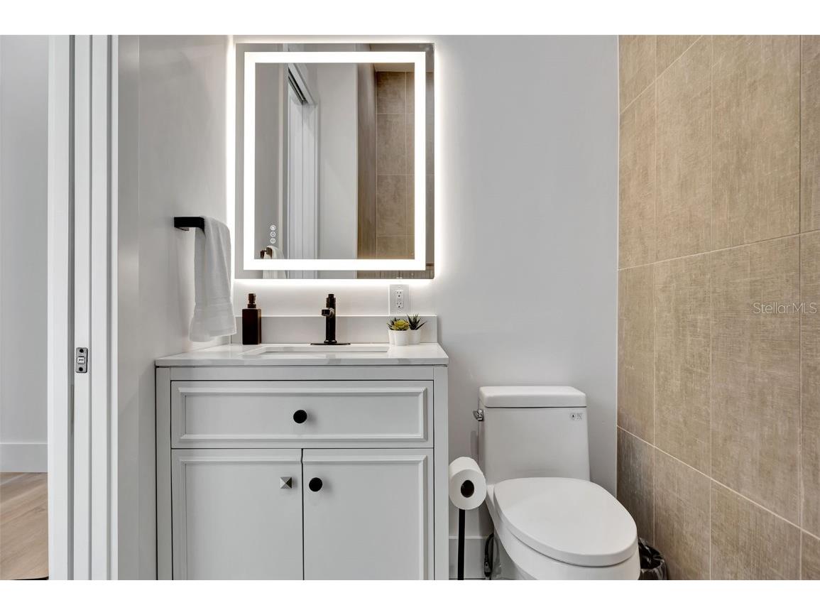 331 Albert Street Dunedin FL 34698 TB8340274 image49