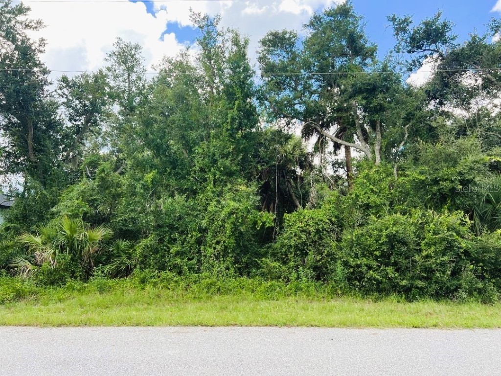 331 Canora Drive Port Charlotte FL 33954 C7513804 image4