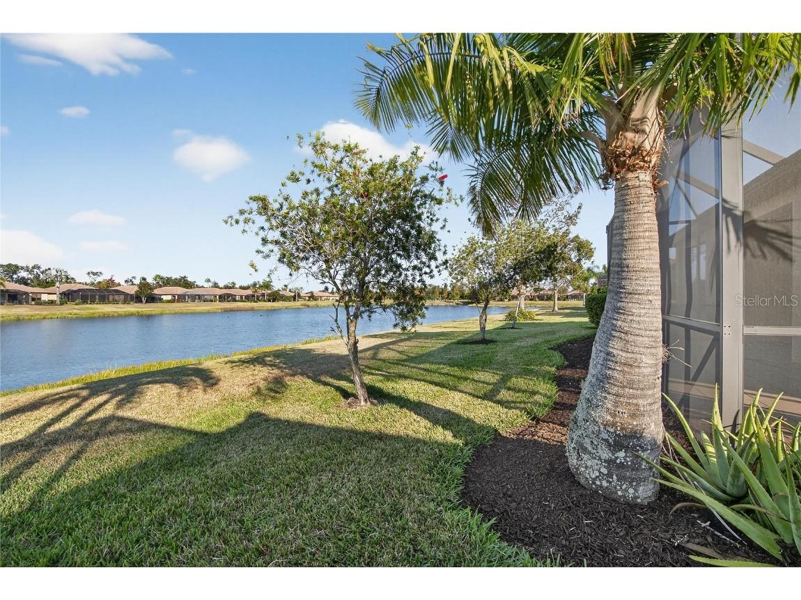 331 Cedar Falls Drive Apollo Beach FL 33572 TB8454236 image47