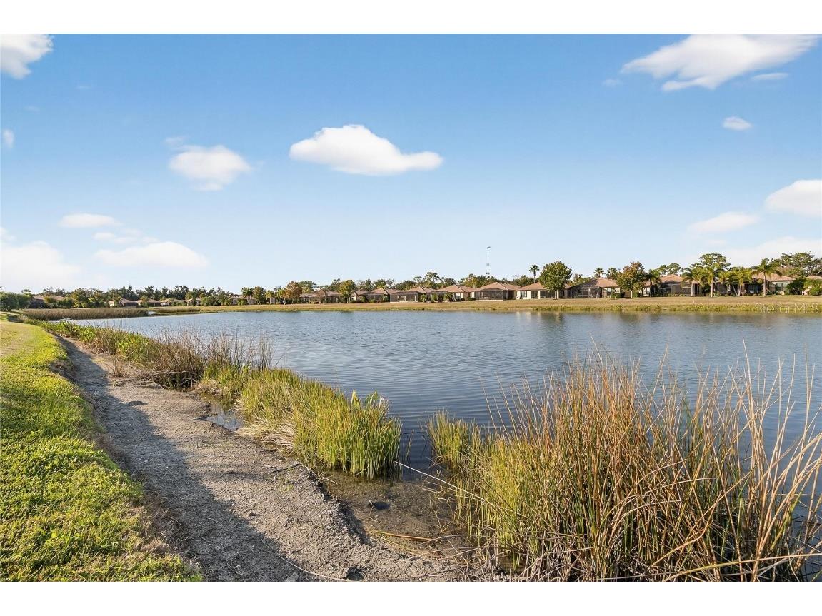 331 Cedar Falls Drive Apollo Beach FL 33572 TB8454236 image49