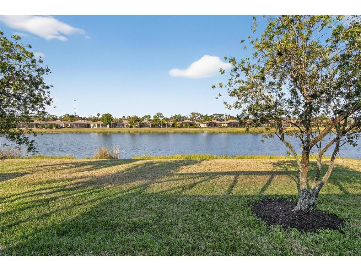 331 Cedar Falls Drive Apollo Beach FL 33572 TB8454236 image51