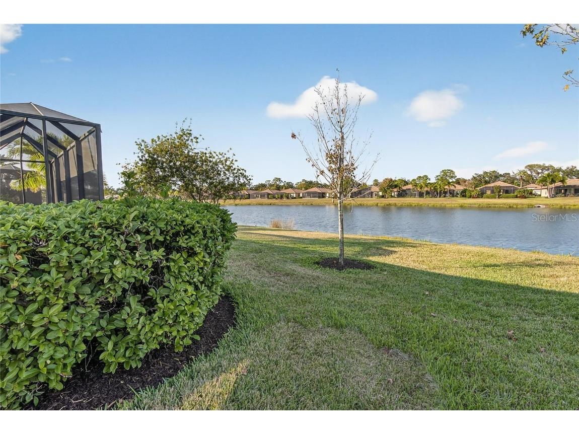 331 Cedar Falls Drive Apollo Beach FL 33572 TB8454236 image52