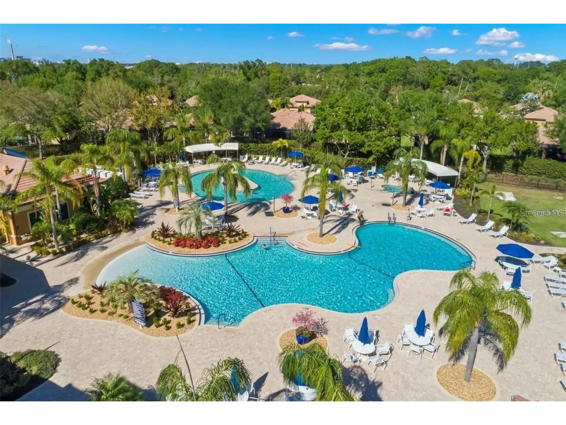 331 Cedar Falls Drive Apollo Beach FL 33572 TB8454236 image64