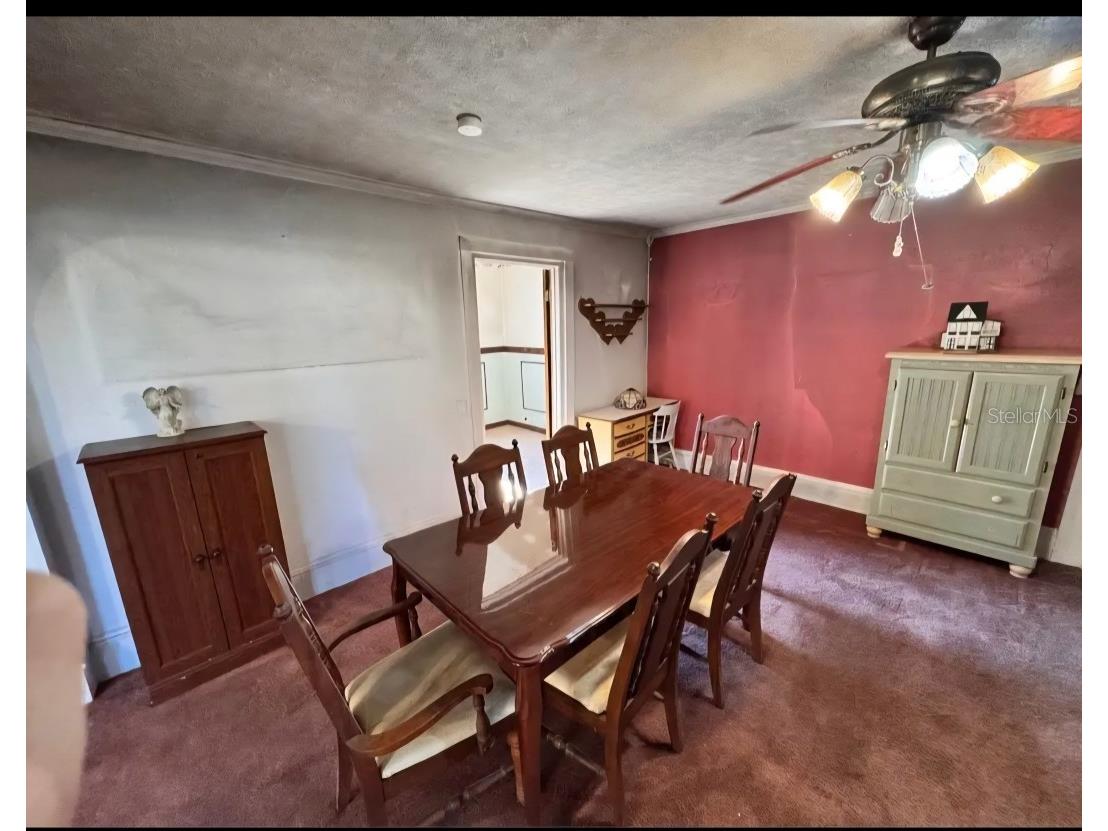 331 Clark Street Starke FL 32091 GC540318 image6