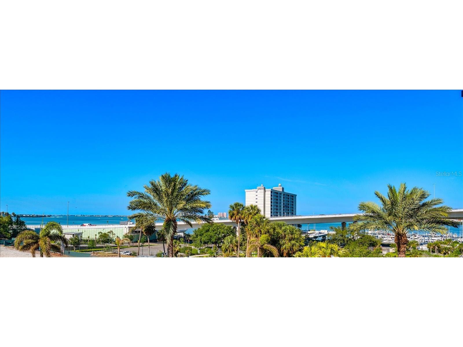 331 Cleveland St #301 Clearwater FL 33755 TB8496794 image37