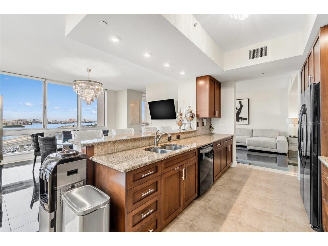 331 Cleveland Street #1103 Clearwater FL 33755 - INTRACOASTAL WATERWAY TB8441886 image13