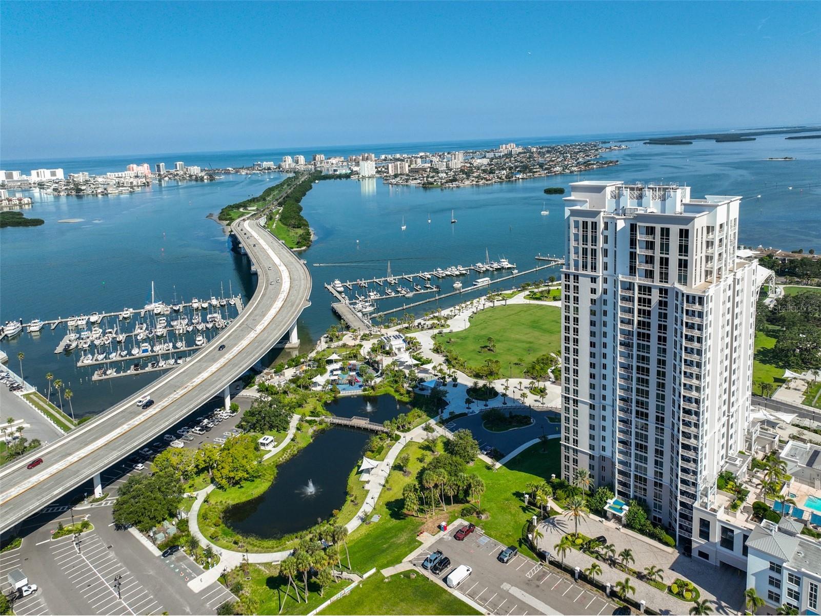 331 Cleveland Street #702 Clearwater FL 33755 TB8520869 image1