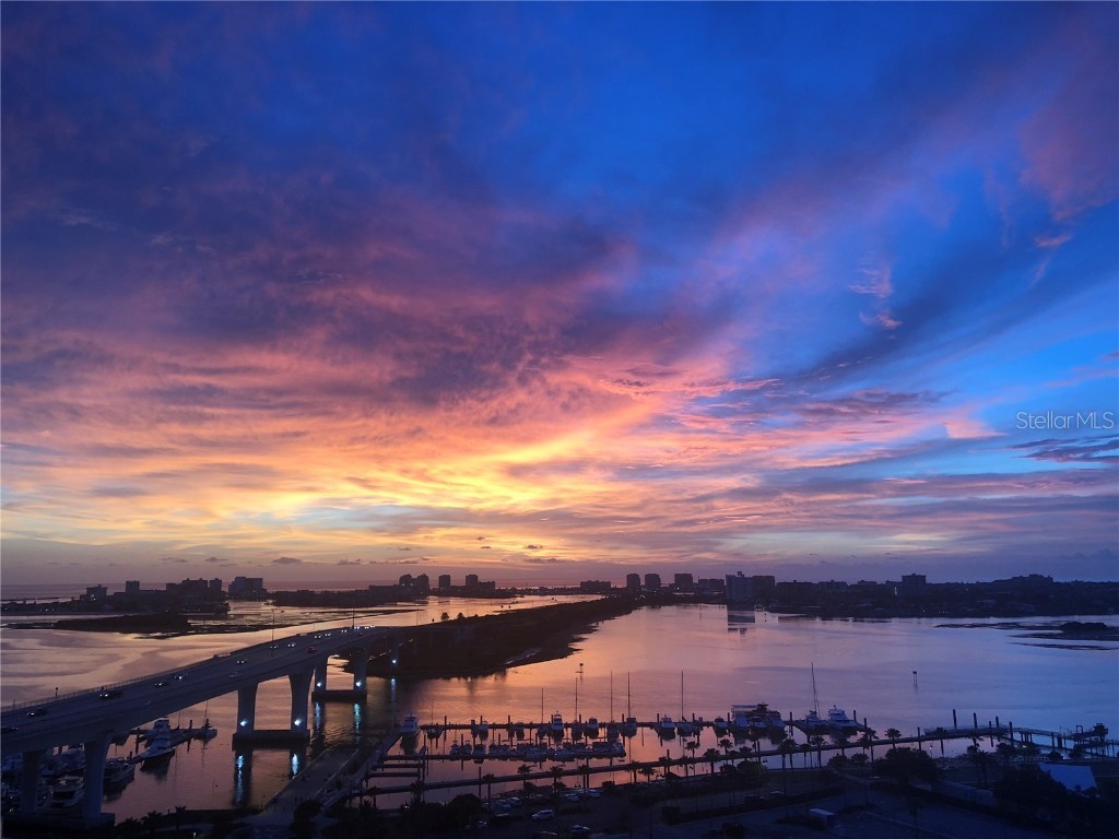 331 Cleveland Street #806 Clearwater FL 33755 TB8437015 image7