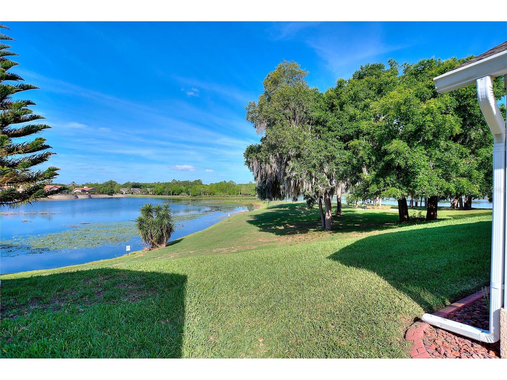 331 Cunningham Dr Davenport FL 33837 - POND BETWEEN HIGH VISTA AND DEL WEBB ORLANDO S5147659 image36