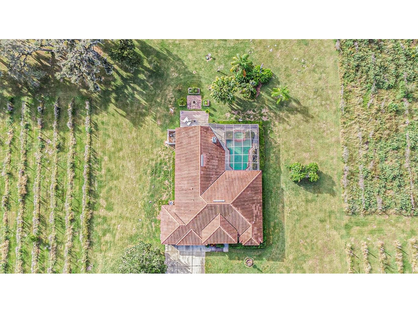 331 Lewis Road Lithia FL 33547 T3483077 image1