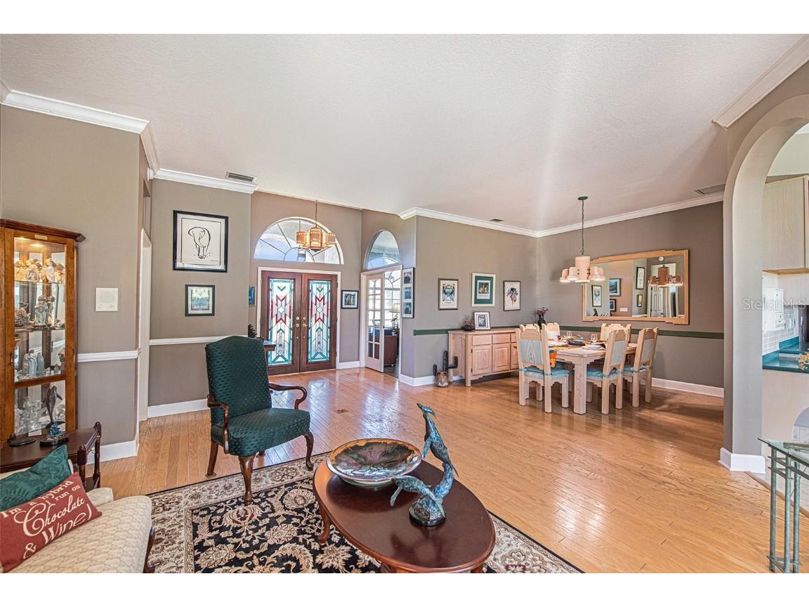 331 Lewis Road Lithia FL 33547 T3483077 image11