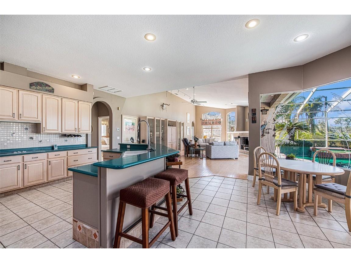 331 Lewis Road Lithia FL 33547 T3483077 image14