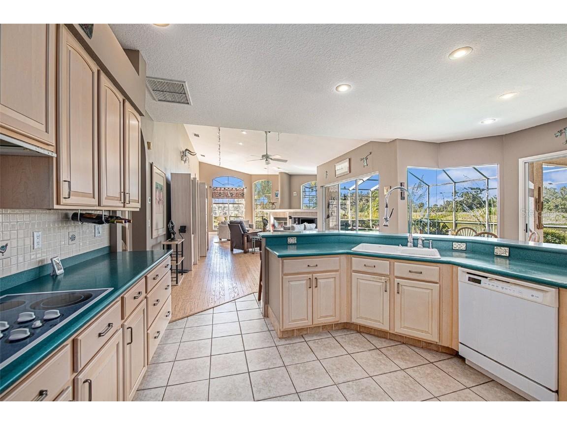 331 Lewis Road Lithia FL 33547 T3483077 image15