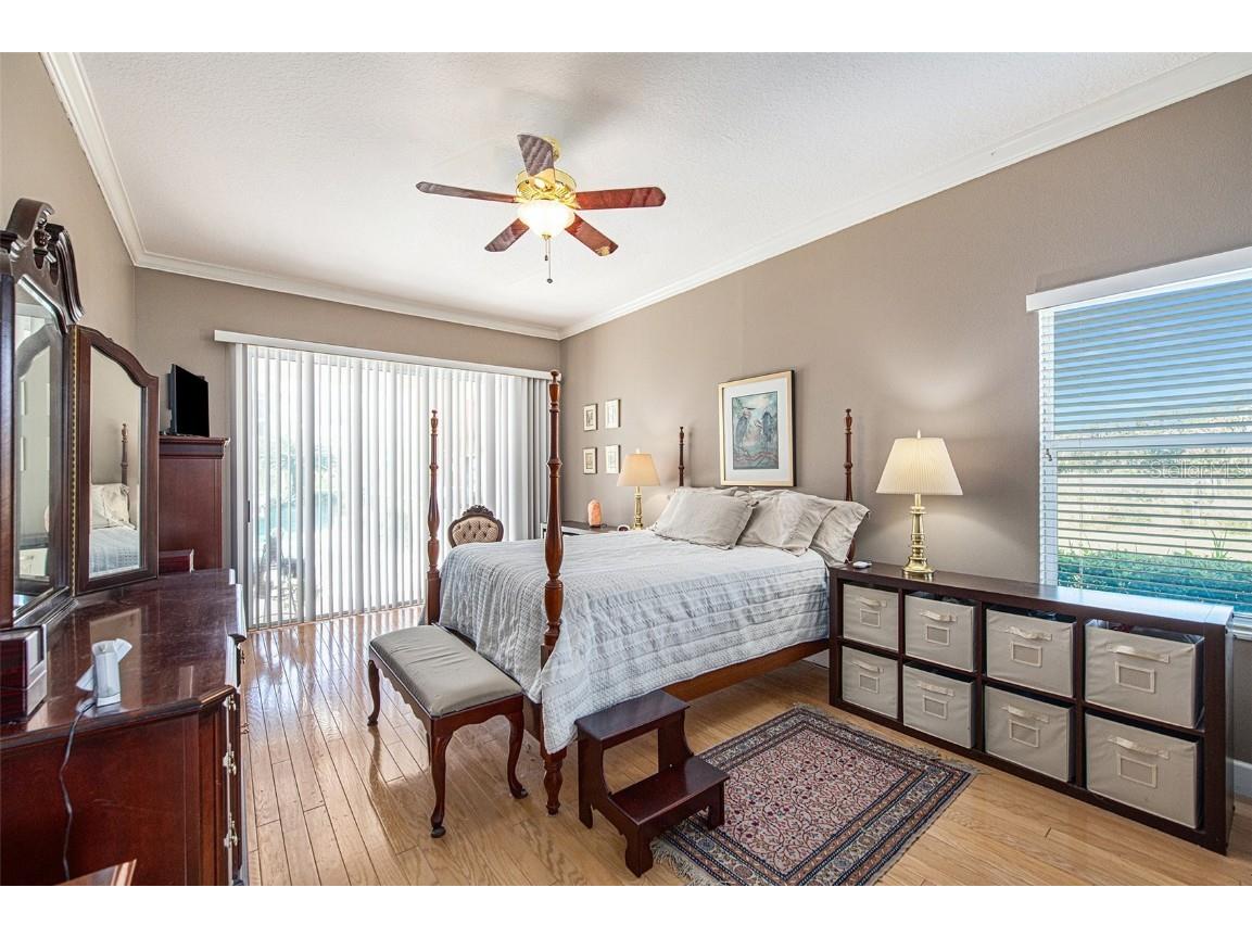 331 Lewis Road Lithia FL 33547 T3483077 image21