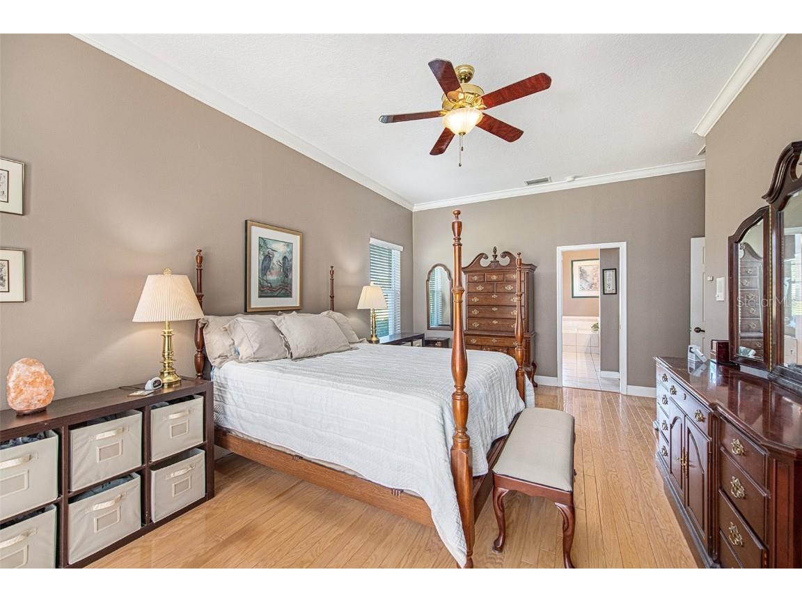 331 Lewis Road Lithia FL 33547 T3483077 image22