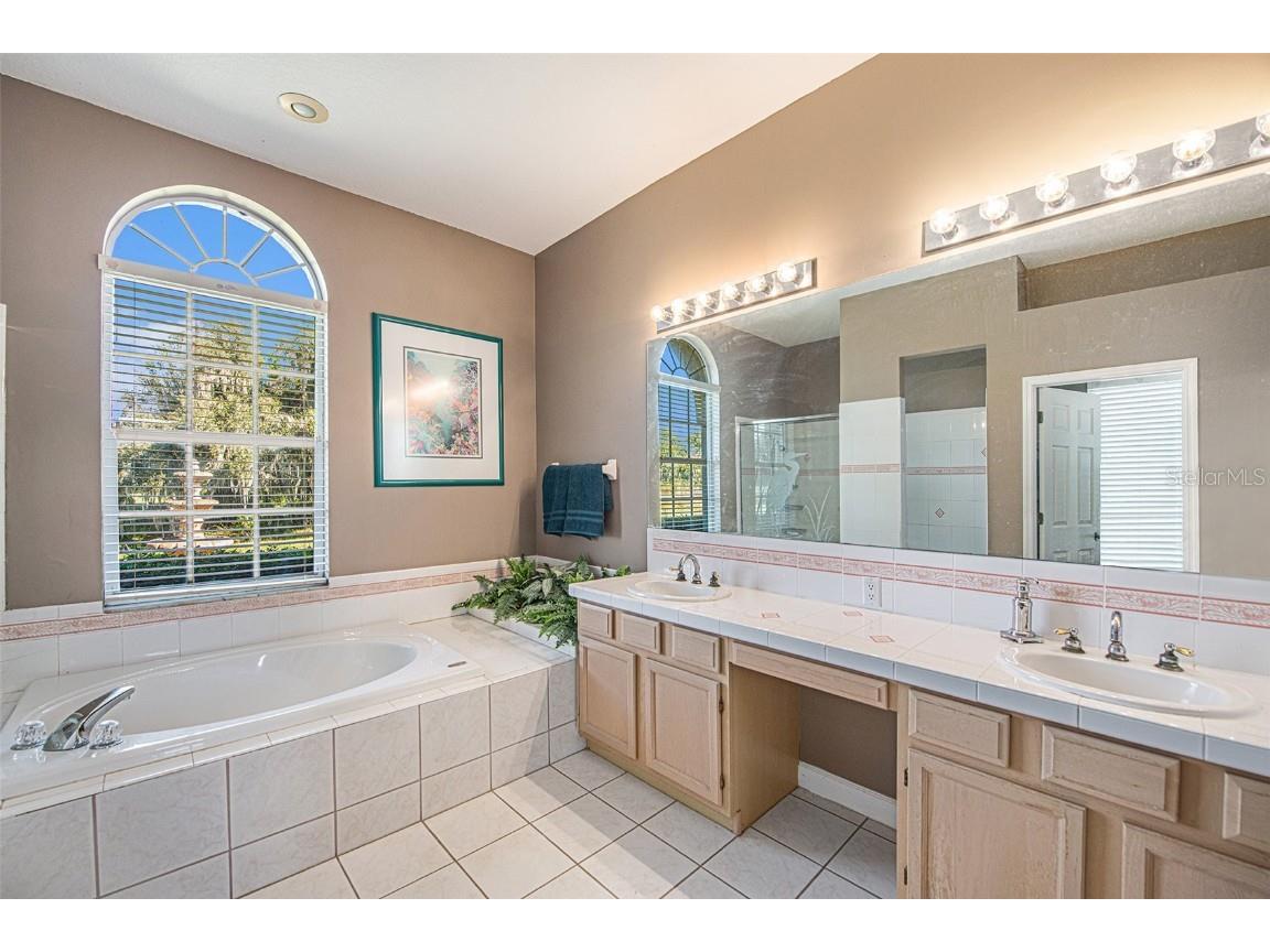 331 Lewis Road Lithia FL 33547 T3483077 image23