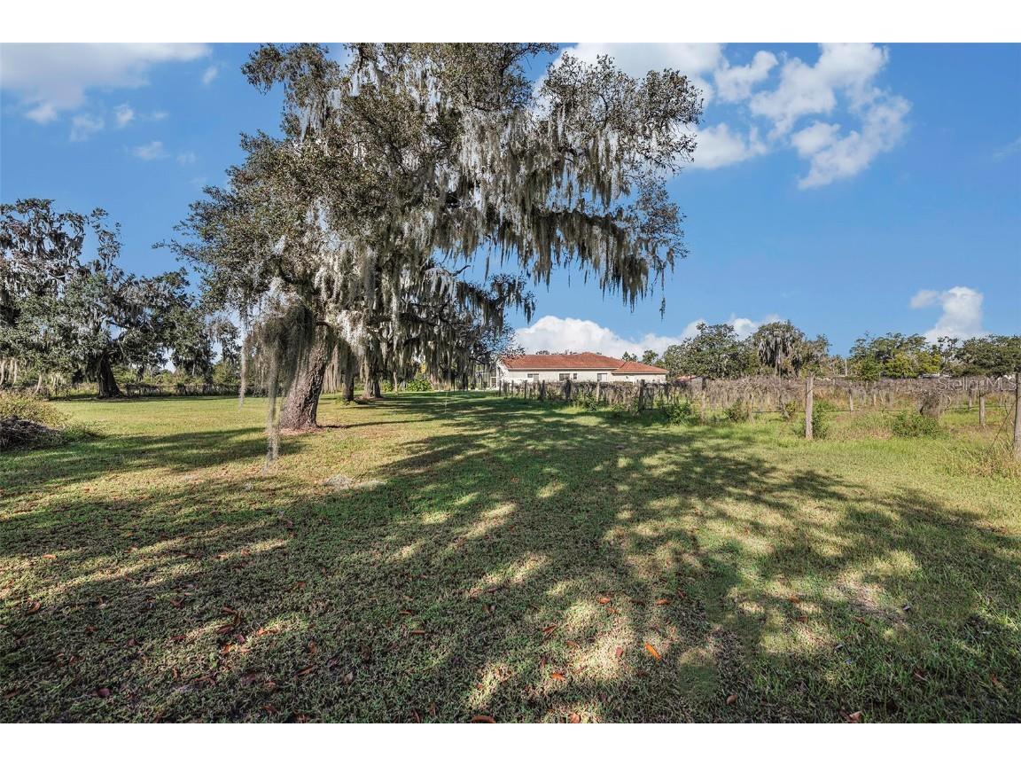 331 Lewis Road Lithia FL 33547 T3483077 image50