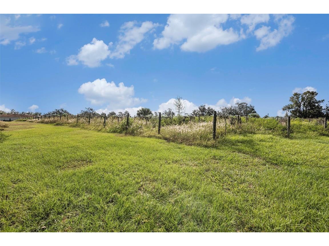 331 Lewis Road Lithia FL 33547 T3483077 image53