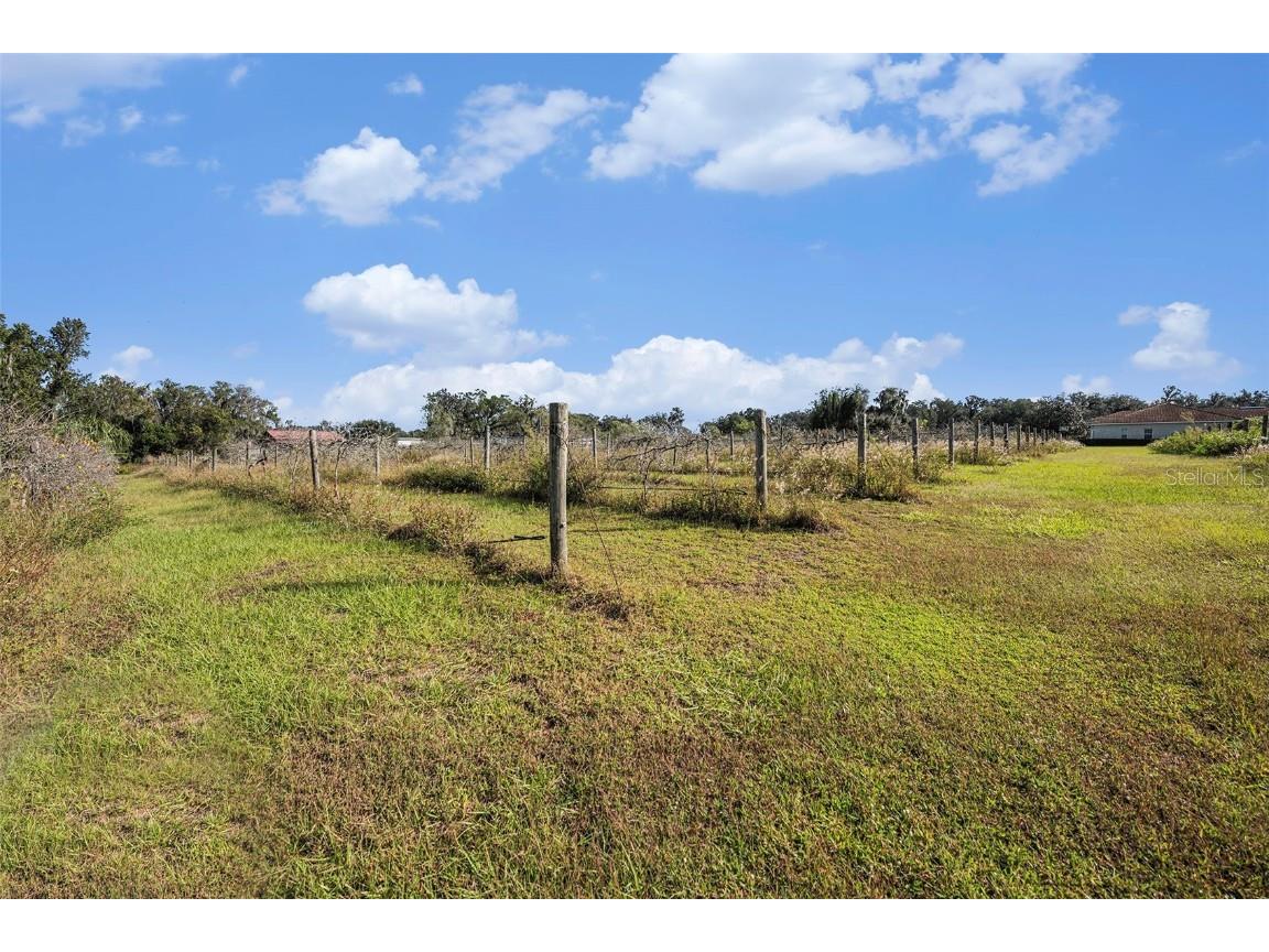 331 Lewis Road Lithia FL 33547 T3483077 image54