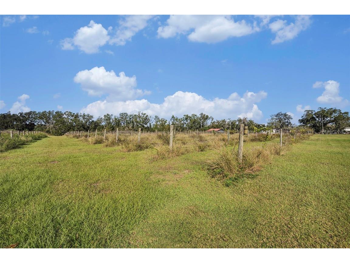 331 Lewis Road Lithia FL 33547 T3483077 image55