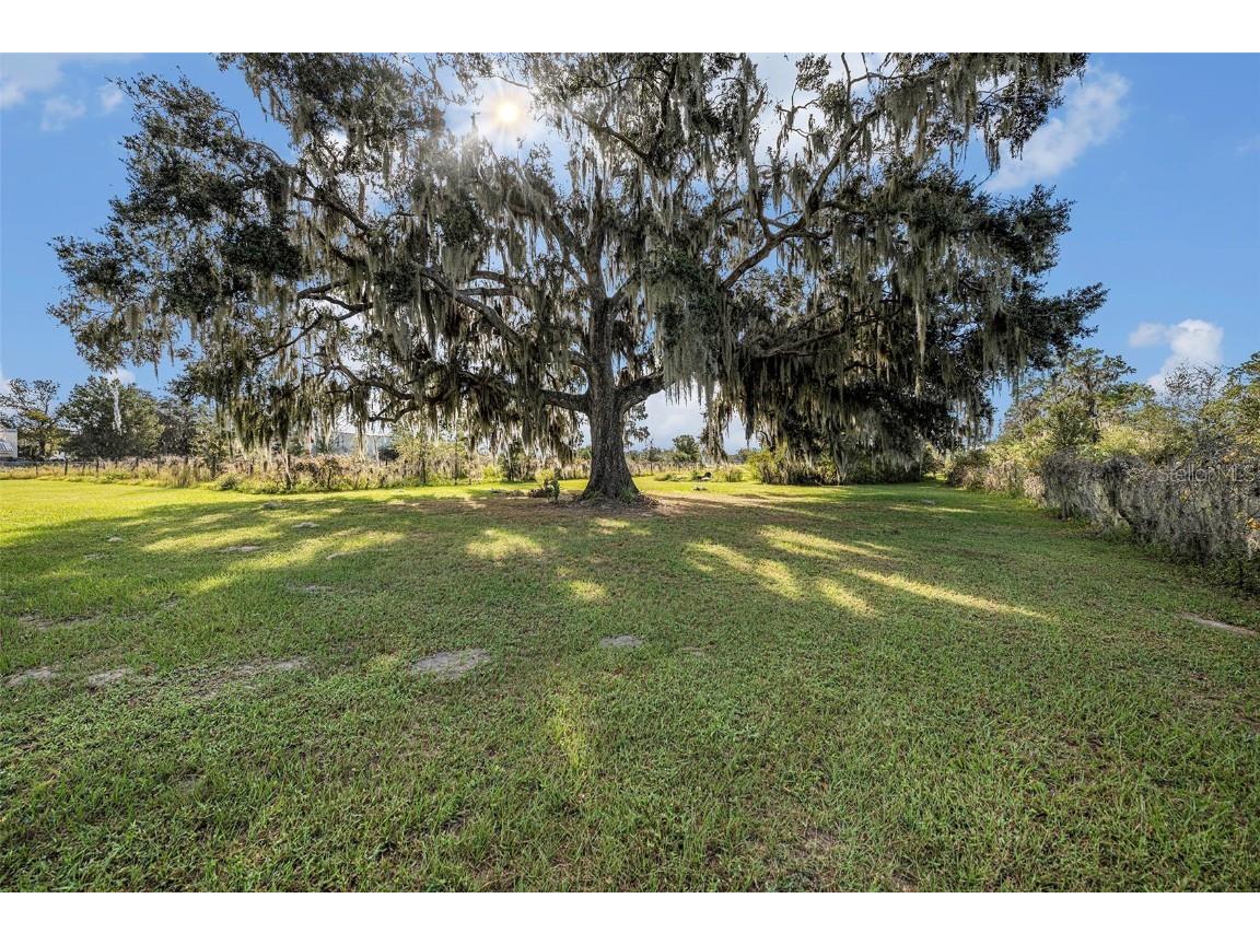 331 Lewis Road Lithia FL 33547 T3483077 image58