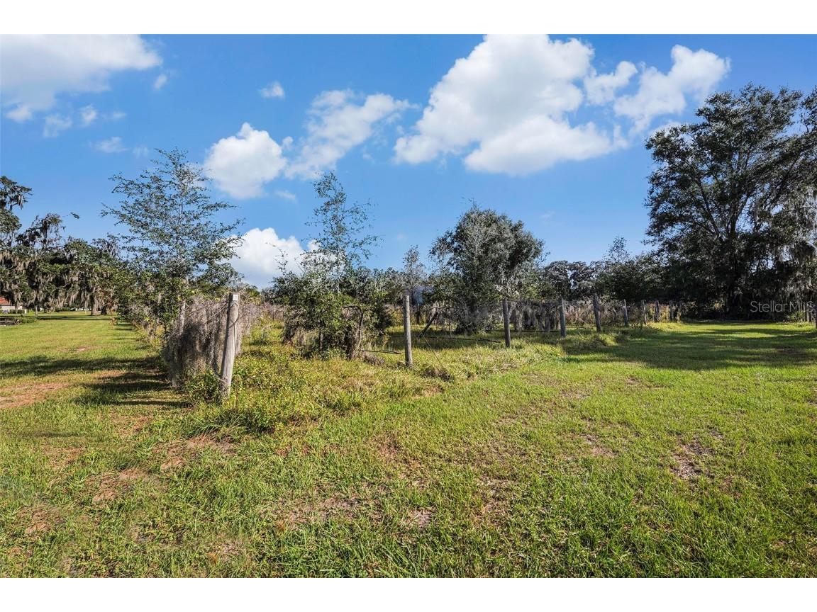 331 Lewis Road Lithia FL 33547 T3483077 image59