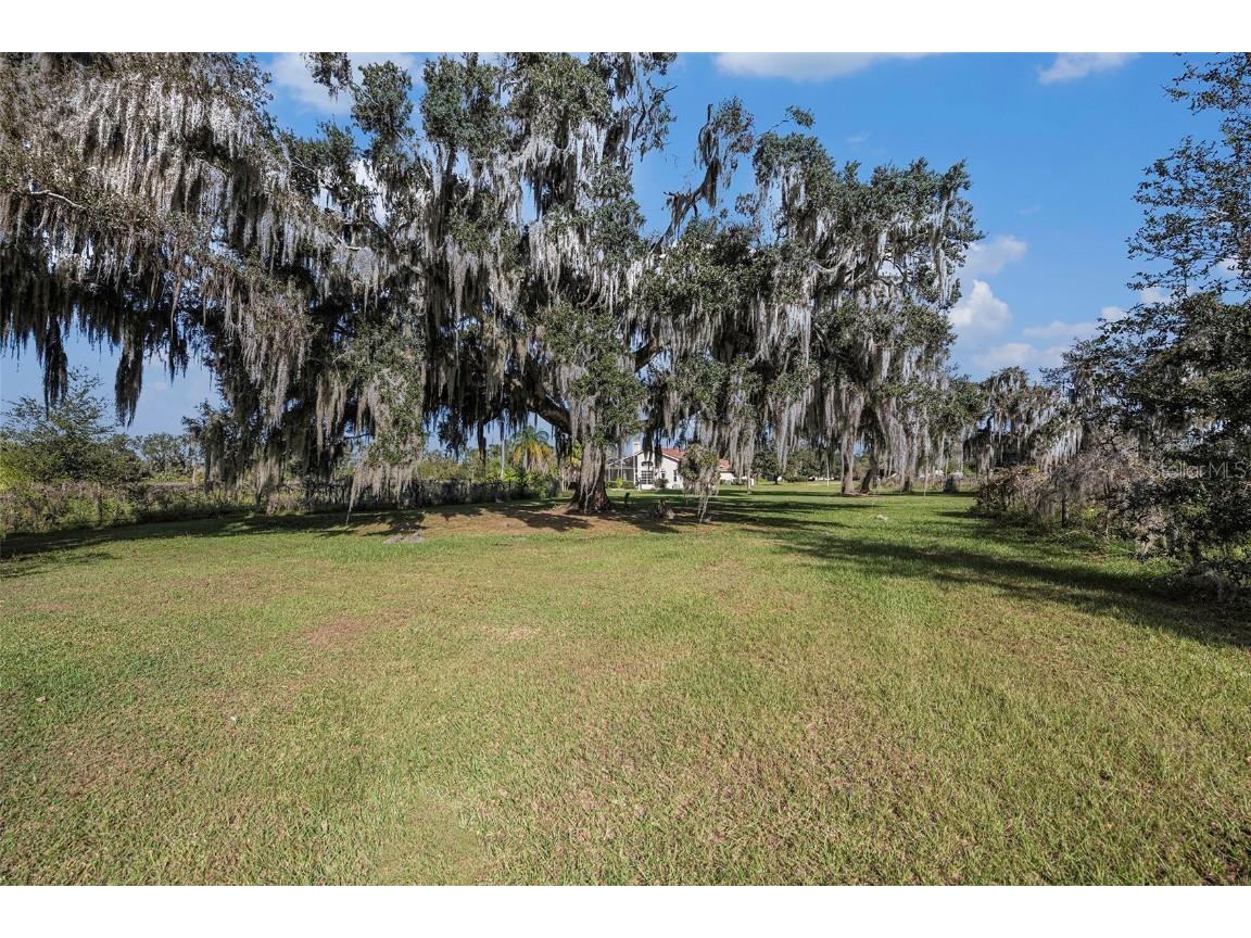 331 Lewis Road Lithia FL 33547 T3483077 image61