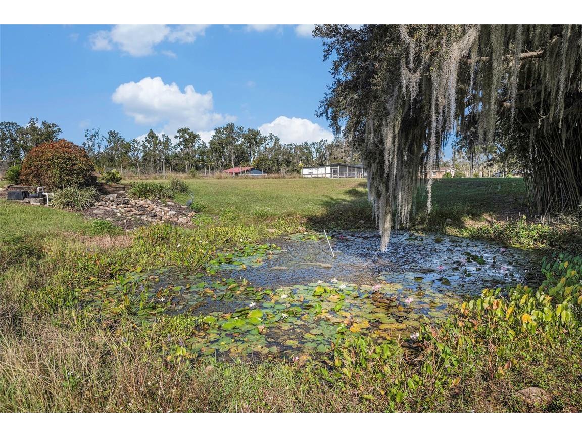 331 Lewis Road Lithia FL 33547 T3483077 image62