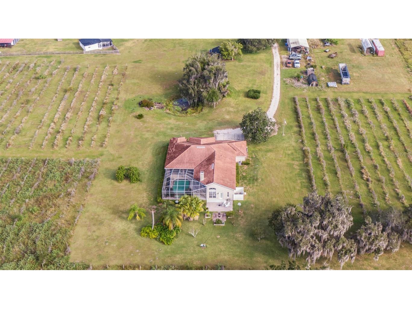 331 Lewis Road Lithia FL 33547 T3483077 image64