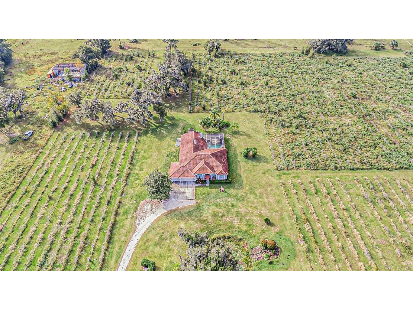 331 Lewis Road Lithia FL 33547 T3483077 image65