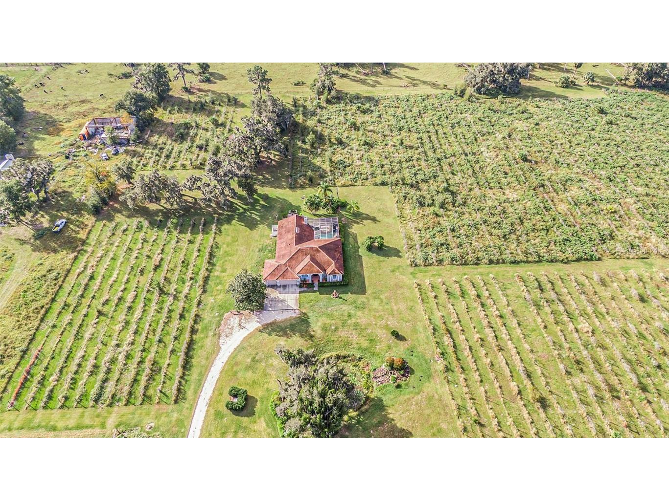 331 Lewis Road Lithia FL 33547 T3483077 image66