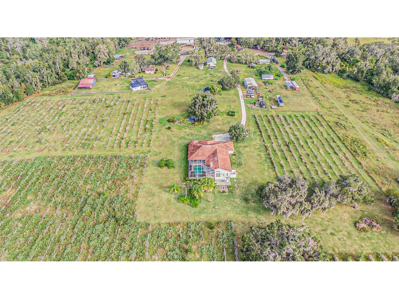 331 Lewis Road Lithia FL 33547 T3483077 image67