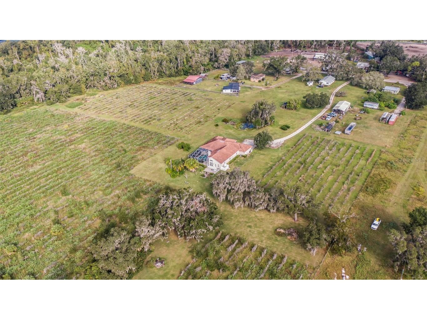 331 Lewis Road Lithia FL 33547 T3483077 image68