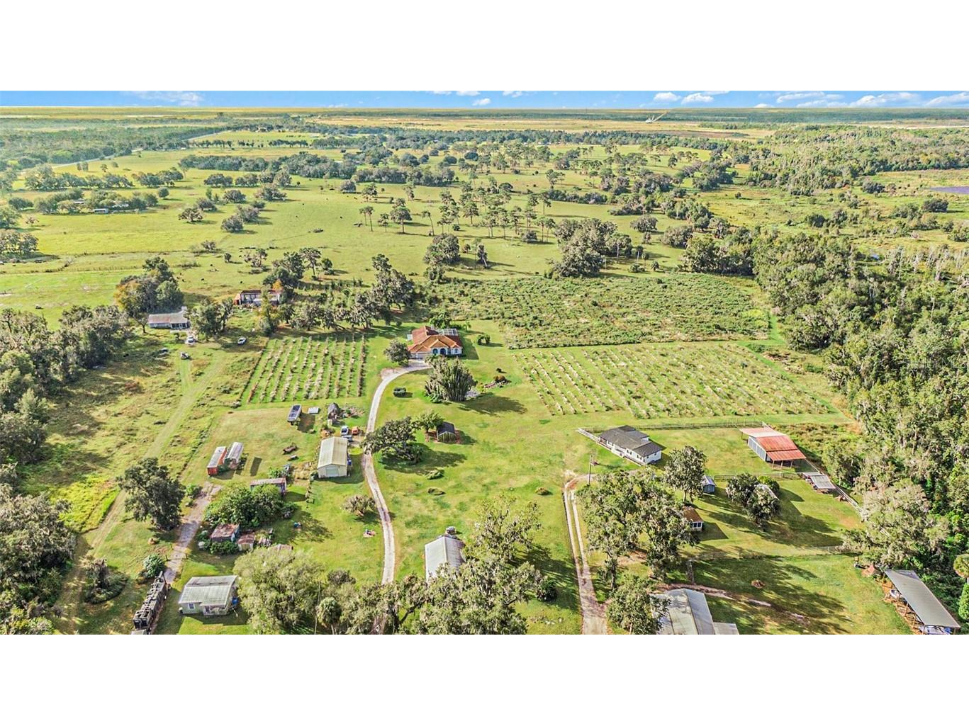 331 Lewis Road Lithia FL 33547 T3483077 image69