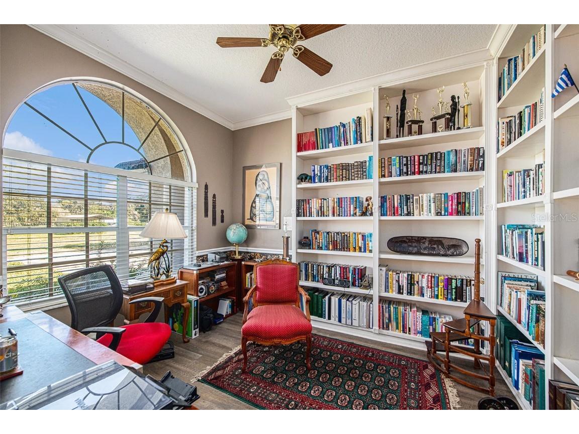 331 Lewis Road Lithia FL 33547 T3483077 image7