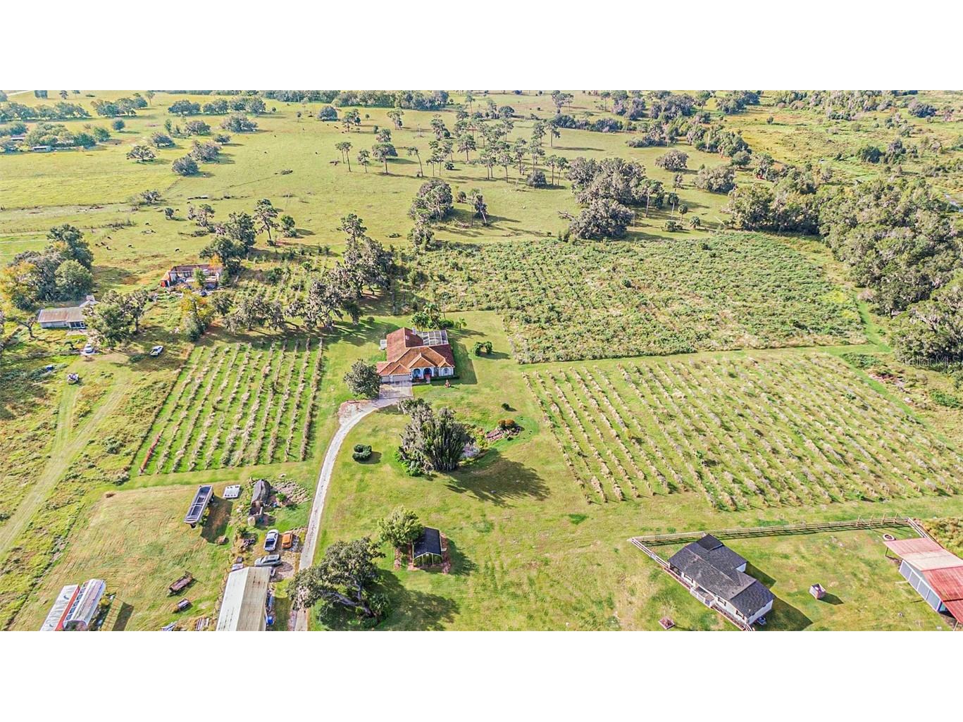 331 Lewis Road Lithia FL 33547 T3483077 image70