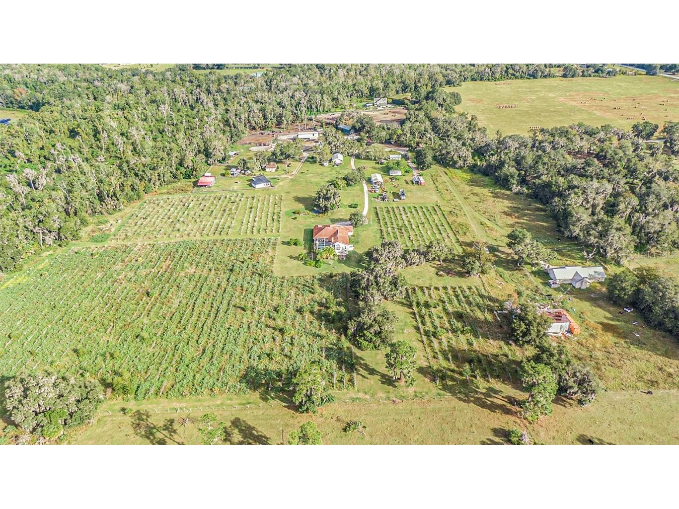 331 Lewis Road Lithia FL 33547 T3483077 image71