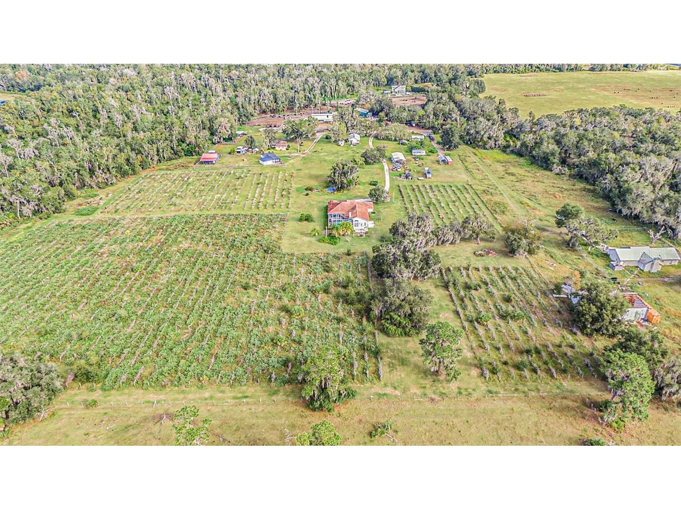 331 Lewis Road Lithia FL 33547 T3483077 image72