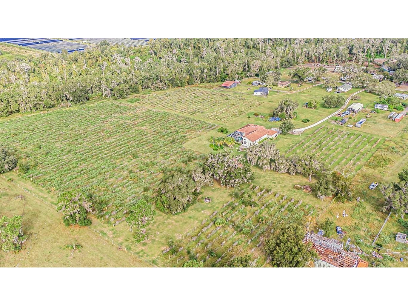 331 Lewis Road Lithia FL 33547 T3483077 image73