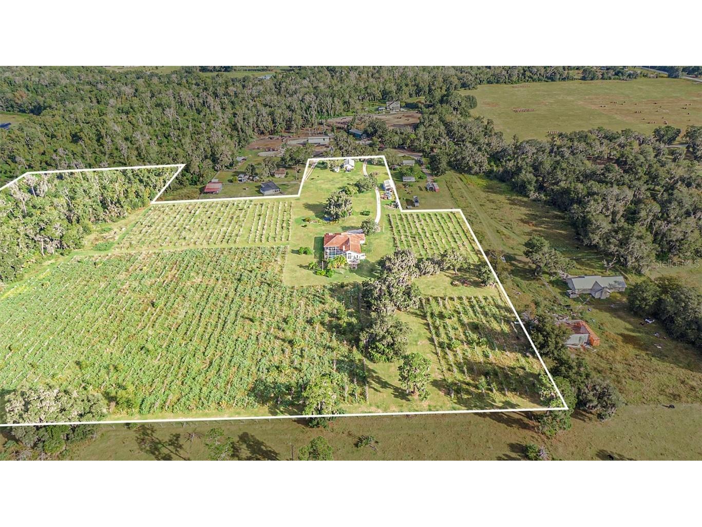 331 Lewis Road Lithia FL 33547 T3483077 image74