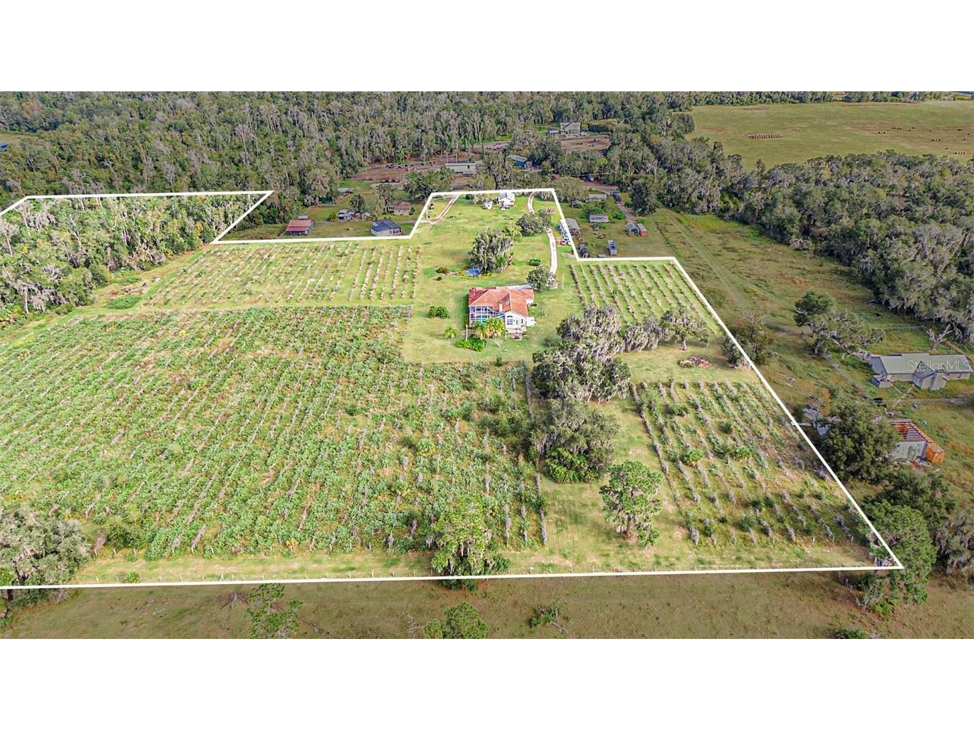 331 Lewis Road Lithia FL 33547 T3483077 image75